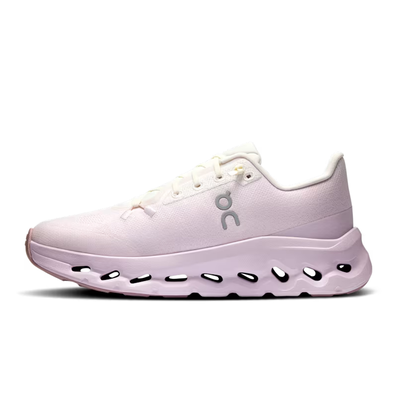 Cloud Ivory Orchid
